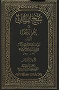 تنقيح المقال